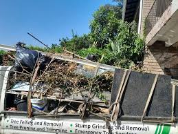 Best Appliance Removal  in Northville, MI