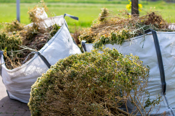 Best Residential Junk Removal  in Northville, MI