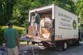 Best Yard Waste Removal  in Northville, MI